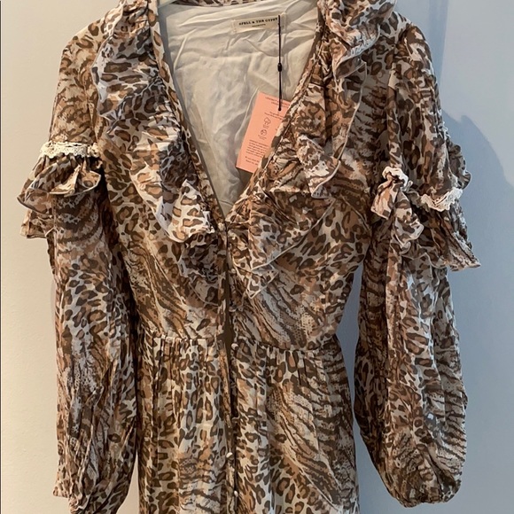 spell & the Gypsy - Picture 3 of 6